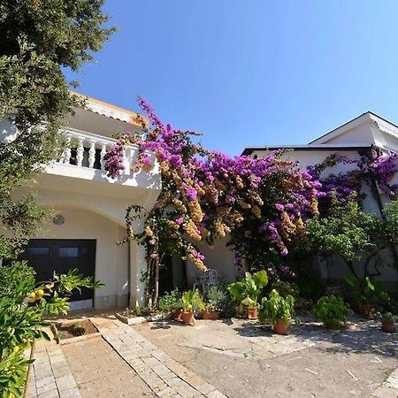 Ostaric Apartment Mandre Exterior photo